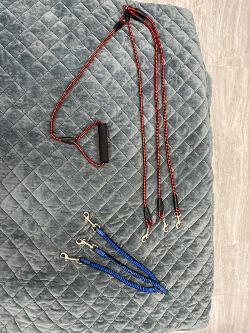 N/A adjustable dog